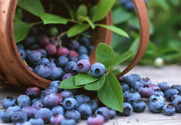 Nutrient-Packed And Flavorful California Dried Plums Are A Smart Snack